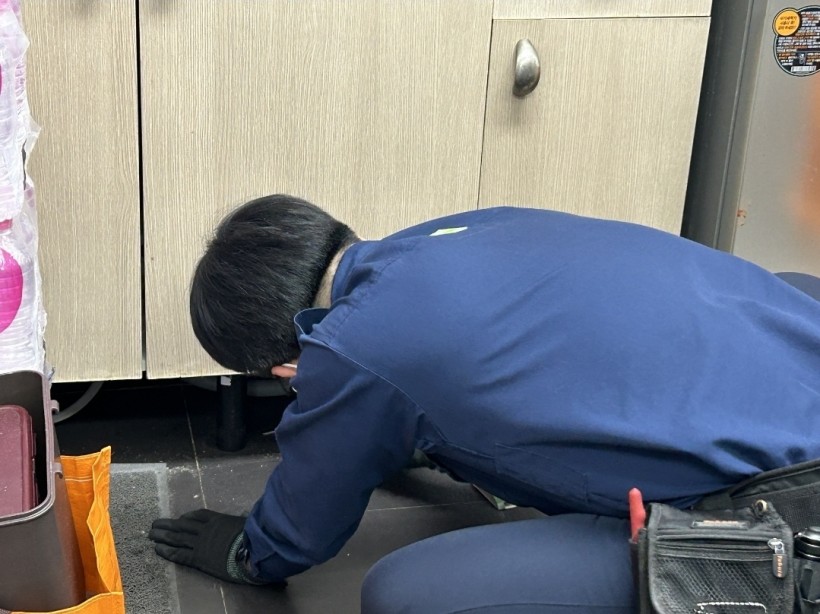 981efbd4854a638c3dcfa730512c8524_1766726